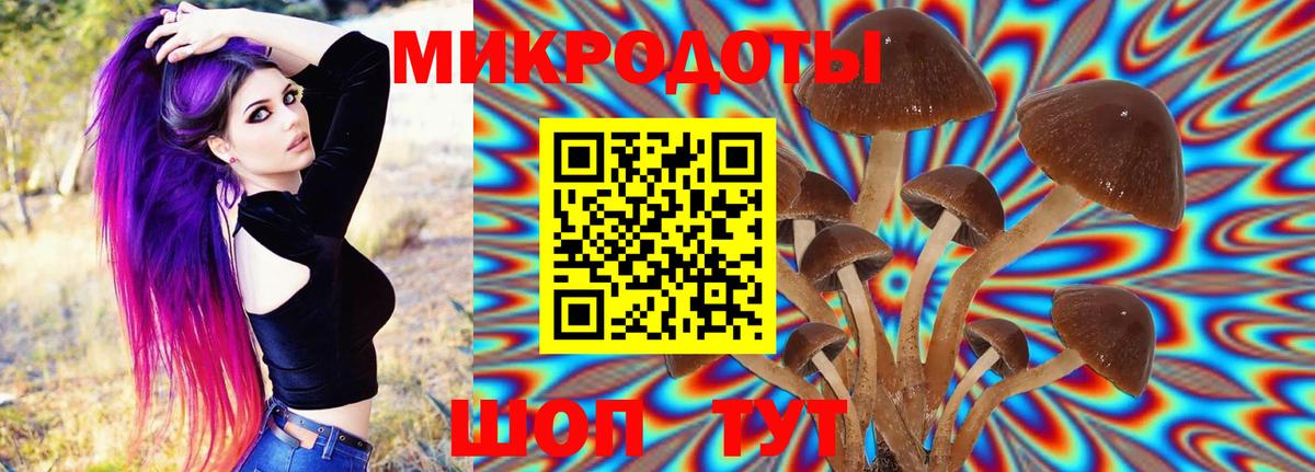 Псилоцибиновые грибы Magic Shrooms Реж